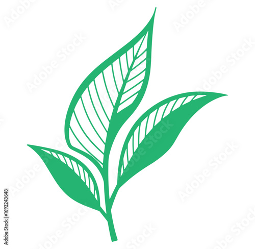 Simple green leaf illustration against a pure white background suitable for various design purposes