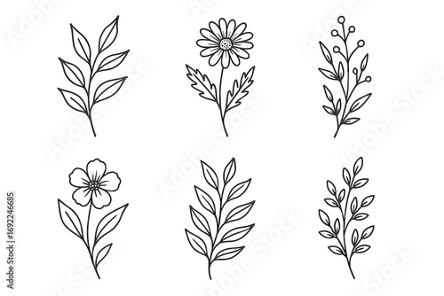 Collection of hand-drawn botanical line art featuring various floral designs