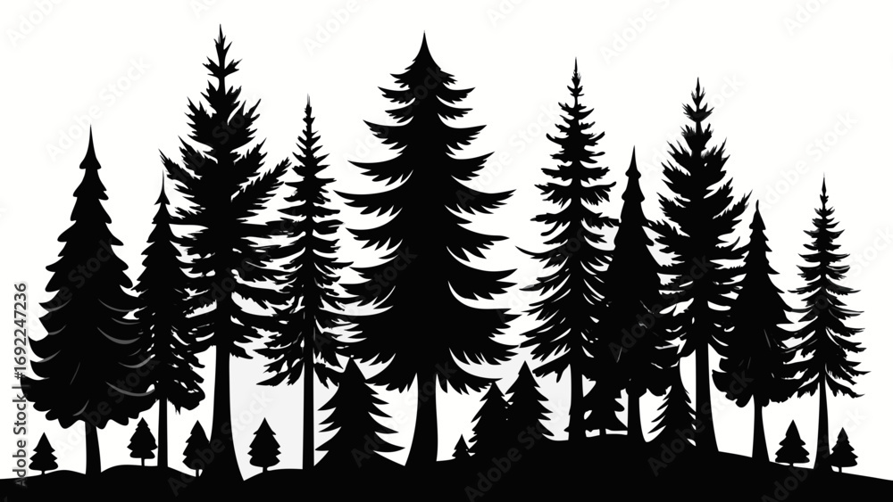 Obraz premium Silhouette of a dense evergreen forest with various pine trees against a white background