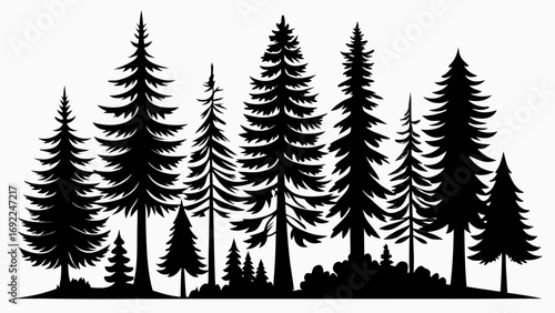 A striking black silhouette of a dense forest with various evergreen trees against a white background
