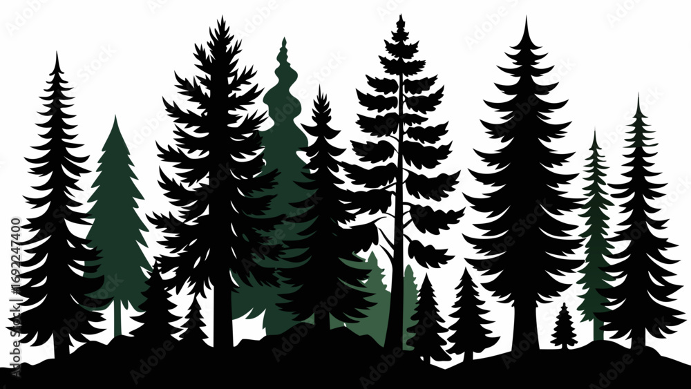 Obraz premium Silhouettes of diverse evergreen trees in a forest landscape against a white background
