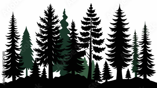 Silhouettes of diverse evergreen trees in a forest landscape against a white background