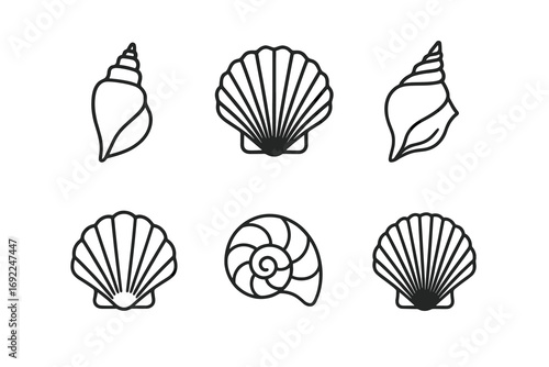 Collection of simple line art seashells: variety of shell designs