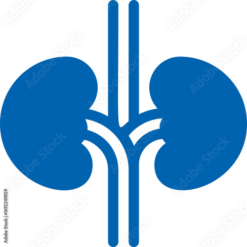 Kidneys Icon – Urology and Human Anatomy Vector