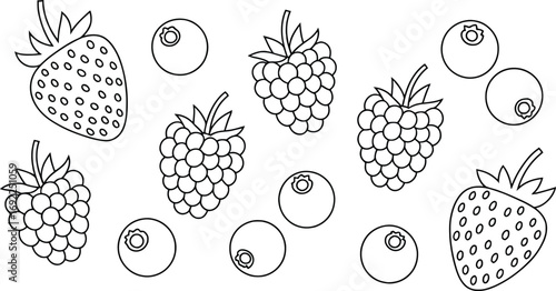 Line art of strawberries raspberries and blueberries fruits