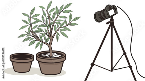 Plant Photography Setup Camera on Tripod Ready to Shoot Potted Plant.
