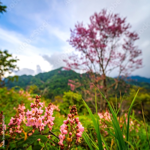 Wallpaper Mural Pink flowers on mountainside Torontodigital.ca