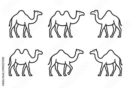 Outline illustrations of single-hump and double-hump camels in various poses