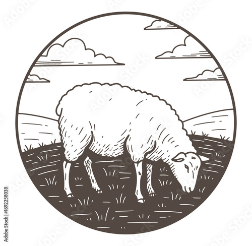 Hand drawn illustration of a sheep grazing in a field enclosed in a circular frame