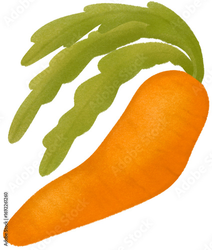 Carrot 