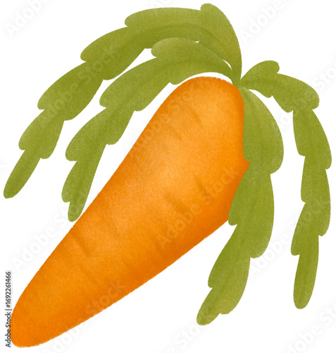Carrot 