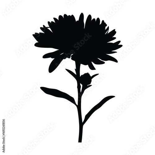 Black aster flower silhouette vector illustration for graphic design and decoration needs