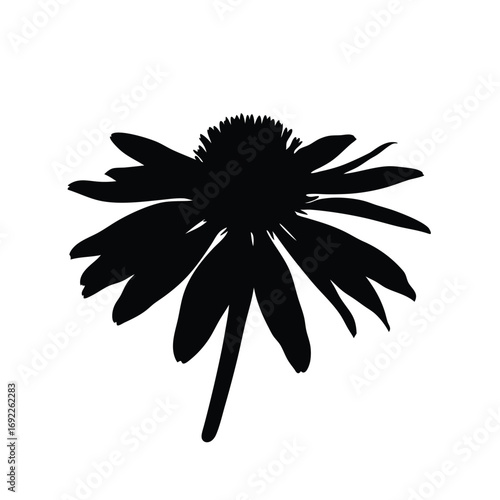 Download black and white coneflower vector silhouette illustration for graphic design projects
