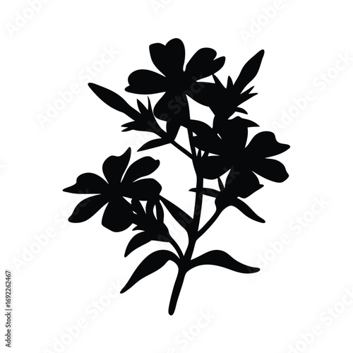 Black phlox flower silhouette vector illustration for graphic design and decoration needs design