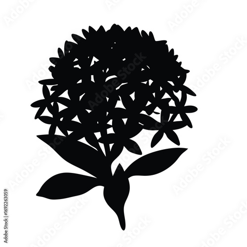 Download black silhouette ixora flower vector art illustration design for graphic projects needs