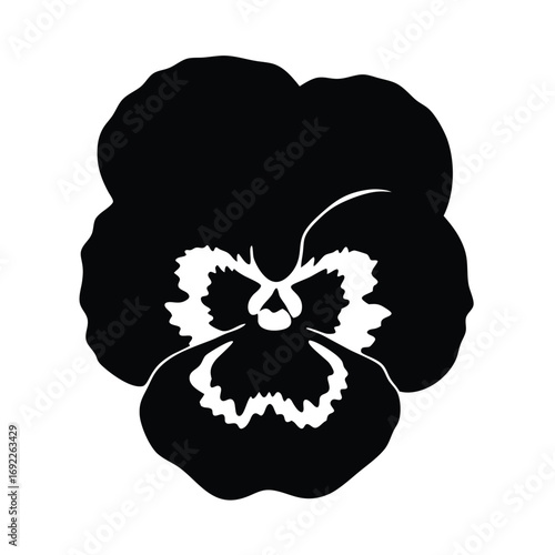 Black and white pansy flower vector illustration for botanical art and floral design projects