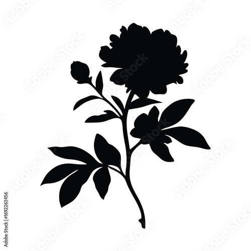 Download beautiful peony flower silhouette vector art for graphic design and decoration needs today