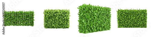 Lush green box hedge fence, perfect for landscaping and garden design, adds privacy and beauty to outdoor spaces