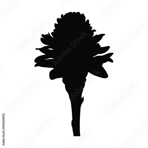 Download black and white silhouette of ginger flower vector illustration for graphic design needs