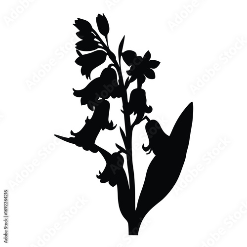 Silhouette of bluebell flower vector illustration, floral design element for spring designs and art