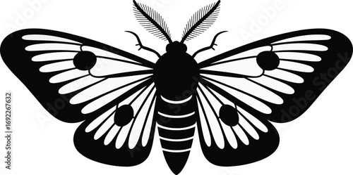 Black silhouette of moth with detailed wings, vector insect illustration, symmetrical butterfly design, isolated graphic art, entomology decor