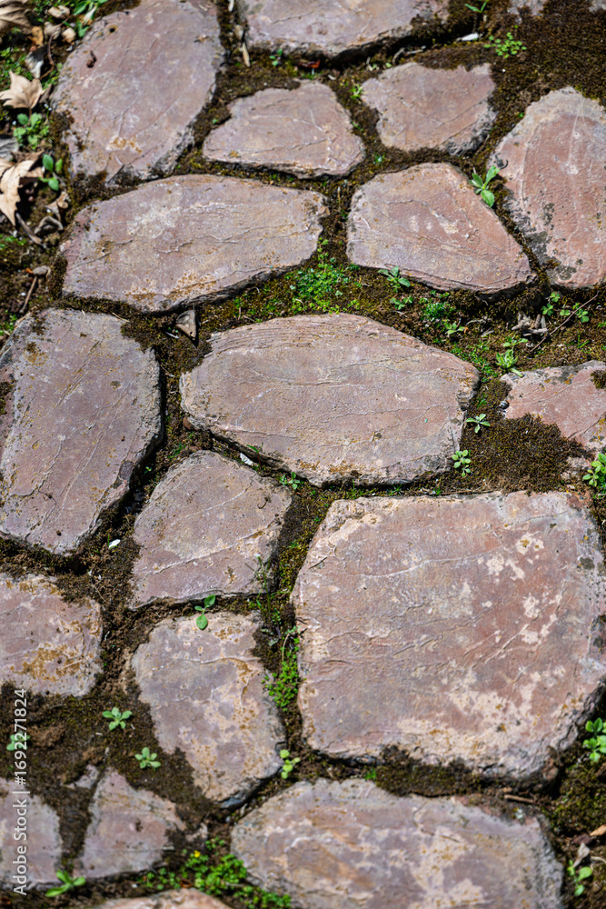 Obraz premium Cobblestone garden path with moss and greenery