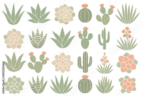 Decorative pattern featuring various succulents and cacti designed in soft colors in a textile style arrangement