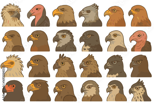 Hand-Drawn Vector Set of Eagle and Vulture Heads Featuring Diverse Raptor Species in Profile View on Brown Gradient Background