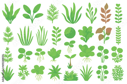Collection of hand-drawn edible greens and herbs including microgreens, sprouts, and leafy vegetables on bright green background