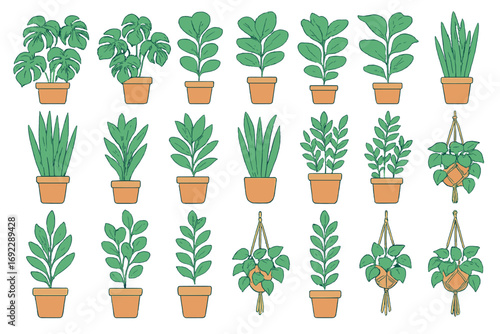 Hand-drawn houseplants in terracotta pots and macrame hangers on a green gradient background