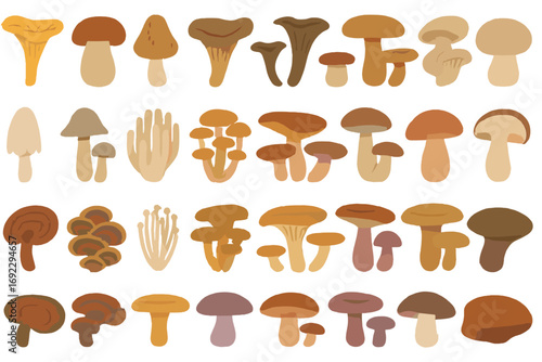 Hand-drawn mushroom set featuring edible and wild fungi with warm gradient background and earthy tones