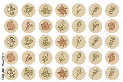 Seamless botanical icon set featuring hand-drawn flowers, herbs, leaves, buds, and natural elements in soft earthy tones on beige background
