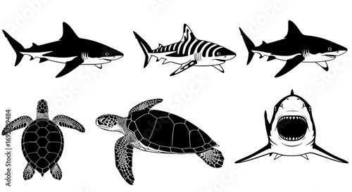 Collection of sharks and sea turtles in black and white silhouette style, isolated on white background silhouette graphics elements set