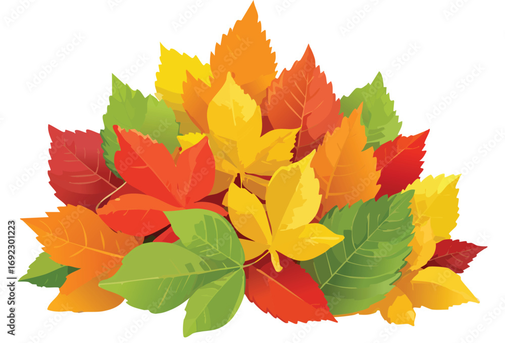 Fototapeta premium Autumn leaves background
