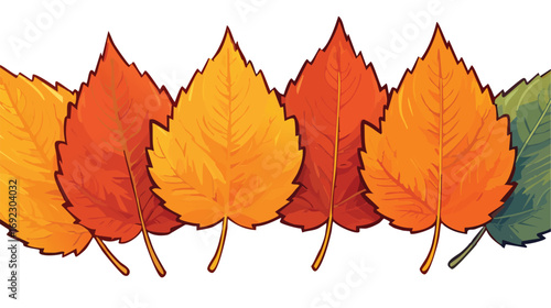Fall Leaves. Four leaves from the same tree changing to fall color