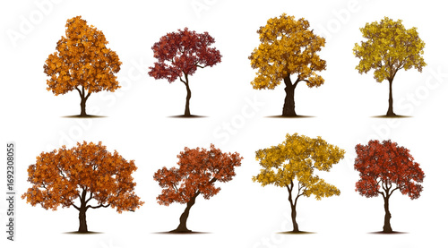 Fall season trees, autumn plants for gardens and yards. Vector realistic isolated icon, landscaping and organic natural environments design. Landscape art with shade, red and yellow foliage