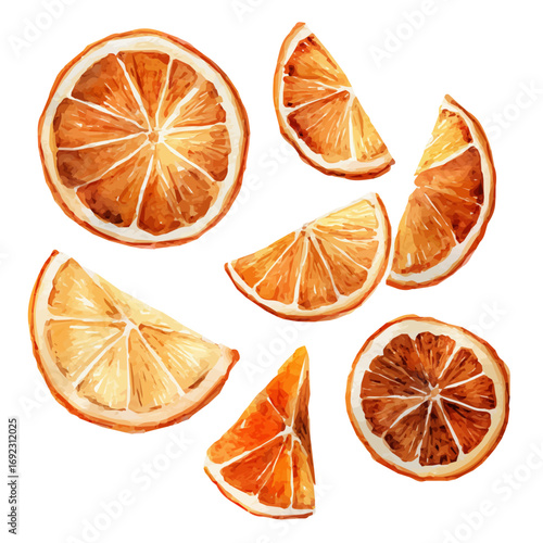 An EPS painting design, Vector illustration set, My Watercolor illustration, dried orange slices painting isolated on a white background, orange slices