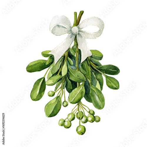 An Christmas EPS painting design, Vector illustration set, My Watercolor illustration, mistletoe bunch with white bow painting isolated on a white background