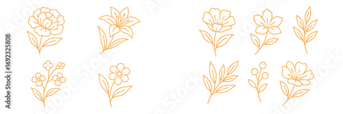 Set of elegant botanical line art with various flowers and leaves for minimalist design elements and floral decoration