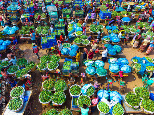 Chapai Nawabganj, Bangladesh - 13 June 2023: Aerial view of Mango market with vibrant green mangoes contrasting against the blue tarps, creating a lively mosaic of commerce.