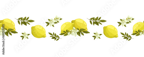 Vibrant lemon and blossom seamless vector border. This hand-drawn illustration features ripe lemons, delicate white flowers, and green leaves, perfect for adding a fresh, citrusy touch to your designs