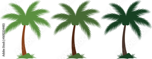 Color palm tree silhouette