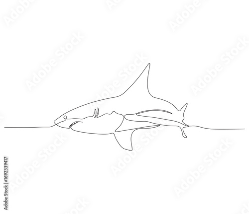 One continuous line drawing of shark. single line of sea creature concept. great white shark fish illustration. editable outline