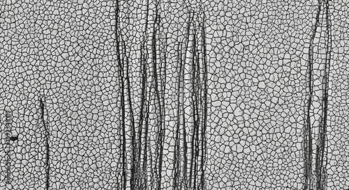 Stunning cracked earth texture background for designs needing organic, distressed, and natural elements