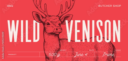 Deer. Hand drawn deer, stag, buck. Vintage retro print, black white deer, stag, buck, sketch ink pencil style drawing, engrave. Sketch artwork silhouette head deer, stag, buck. Vector Illustration