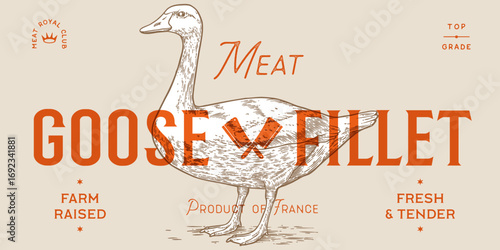 Goose. Hand drawn farm bird, poultry, goose. Vintage retro print, black white goose, poultry, sketch ink pencil style drawing, engrave. Sketch artwork silhouette head farm bird. Vector Illustration