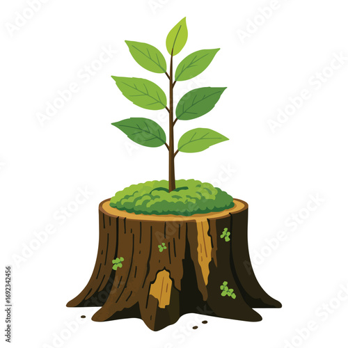 Regrowth from Tree Stump – Symbolic Plant Illustration