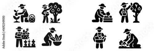 Farmer working in the field, planting seedlings, and harvesting fresh organic produce from the garden