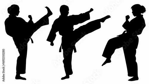 Three silhouettes of people in karate poses performing kicks against a white background illustration