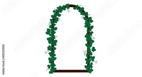 A simple garden arch trellis covered with climbing green ivy leaves, isolated on a white background.